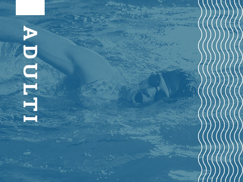 Corsi nuoto Adulti | Piscina Comunale Forlì
